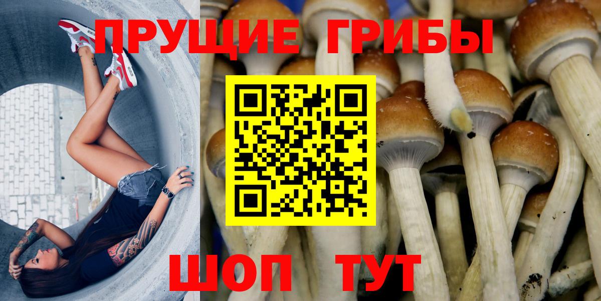 Псилоцибиновые грибы Psilocybine cubensis  Вход с VPN  Коркино 