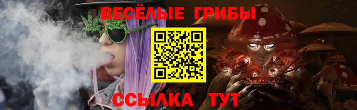 Псилоцибиновые грибы ЛСД Коркино